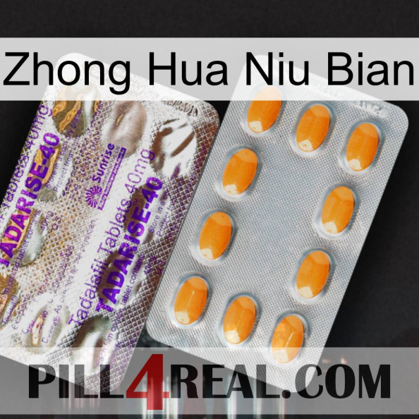 Zhong Hua Niu Bian new12.jpg